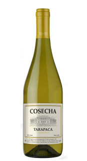 Vinho Cosecha Tarapac Chardonnay 750ml